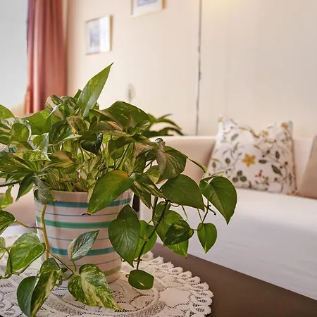 펜션 Casa Fefa 칸델라리아