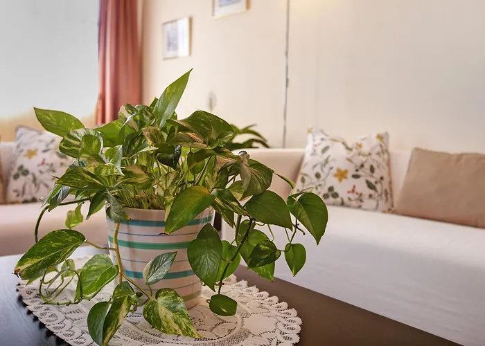 Vakantiehuis Casa Fefa Candelaria